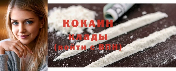 прущие грибы Алапаевск