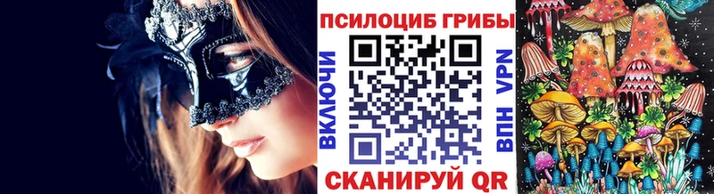 Псилоцибиновые грибы MAGIC MUSHROOMS  как найти наркотики  Гдов 